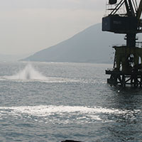 Imagen-5